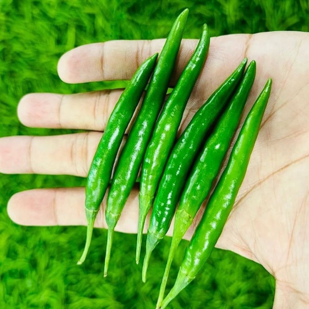 Chilli