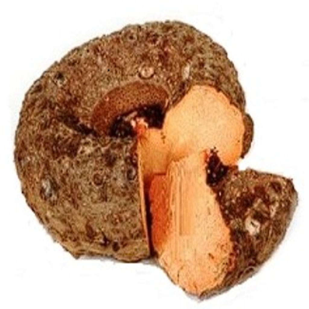 Yam